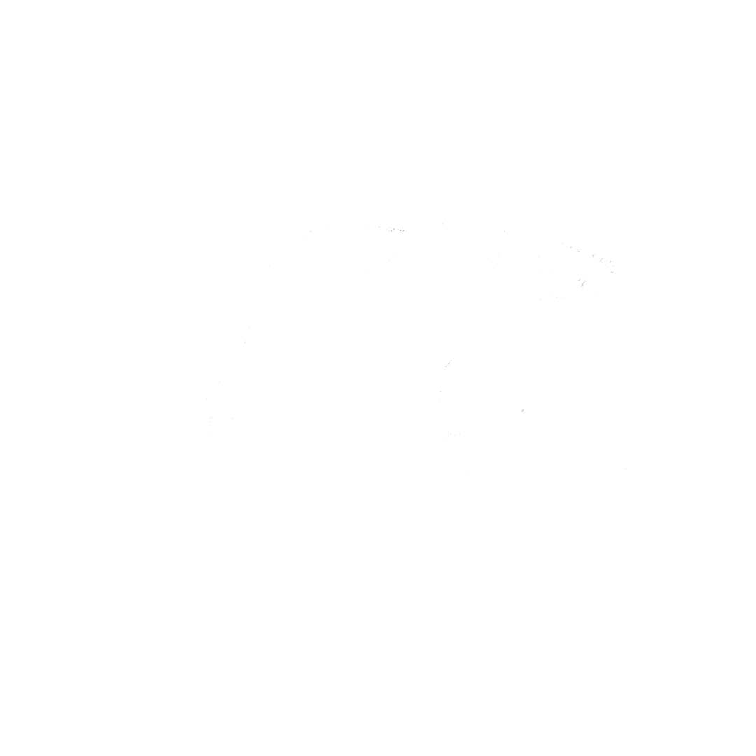 Client 9