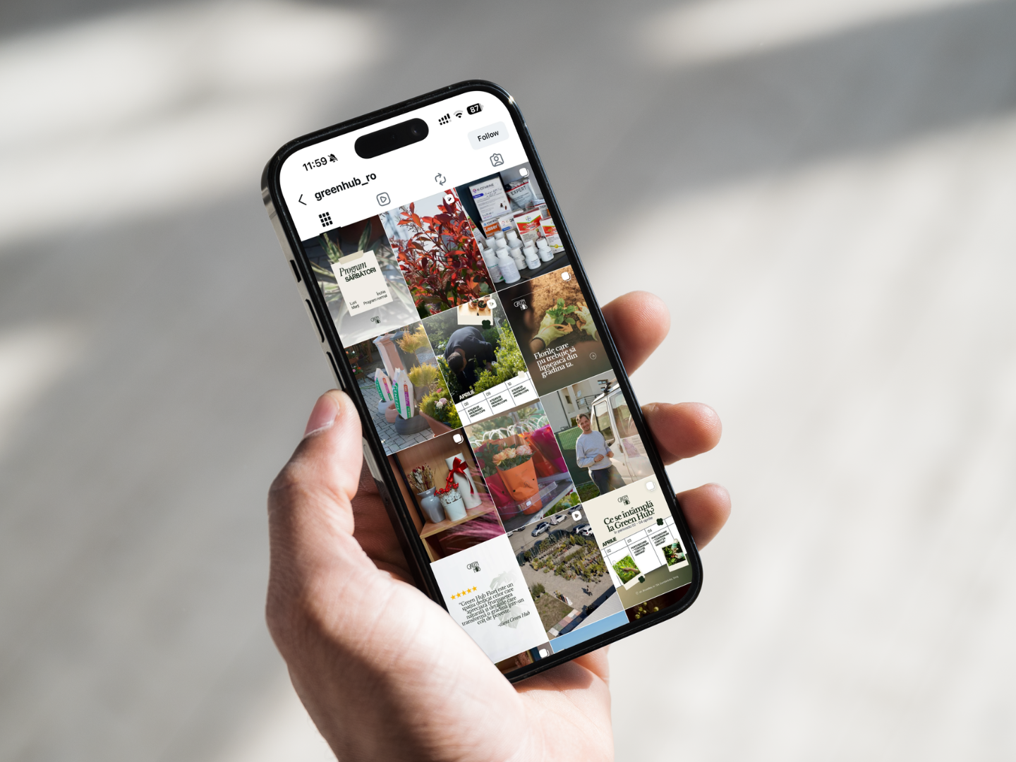 Green Hub — social media management